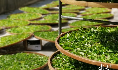 尿道刺痛用药网- 尿道有刺痛感知识,分享尿道刺痛一直有尿意